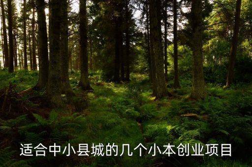 適合中小縣城的幾個小本創(chuàng)業(yè)項目