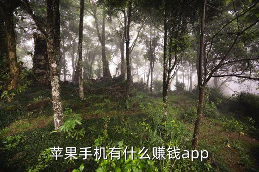 蘋果手機(jī)有什么賺錢app