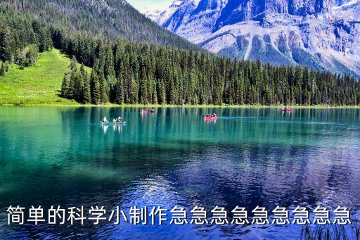 簡(jiǎn)單的科學(xué)小制作急急急急急急急急急