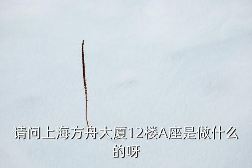 請問上海方舟大廈12樓A座是做什么的呀