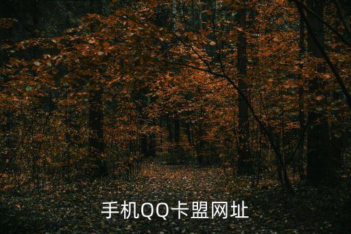 手機(jī)QQ卡盟網(wǎng)址