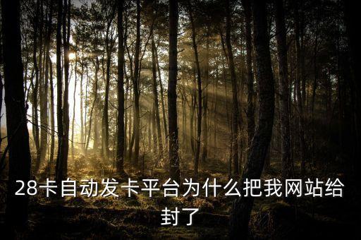 28卡自動(dòng)發(fā)卡平臺(tái)為什么把我網(wǎng)站給封了