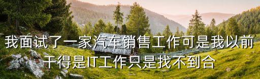 我面試了一家汽車銷售工作可是我以前干得是IT工作只是找不到合