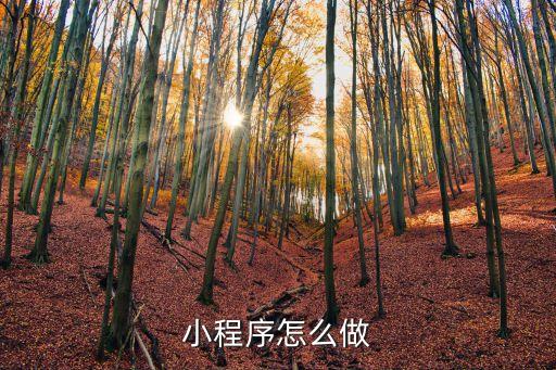 小程序怎么做