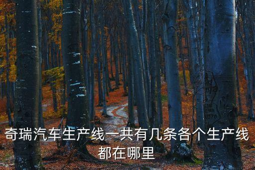 奇瑞汽車生產(chǎn)線一共有幾條各個生產(chǎn)線都在哪里