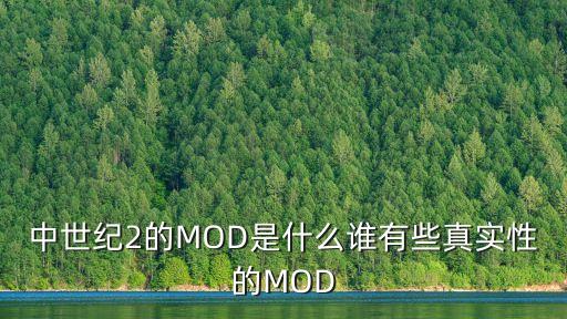 中世紀2的MOD是什么誰有些真實性的MOD