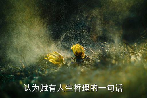認為賦有人生哲理的一句話