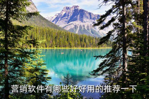 營銷系統(tǒng)軟件app，求一款銷售系統(tǒng)銷售軟件