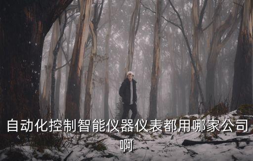 自動化行業(yè)龍頭企業(yè)，自動化行業(yè)有哪些著名企業(yè)和機(jī)構(gòu)