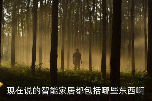 現(xiàn)在說(shuō)的智能家居都包括哪些東西啊