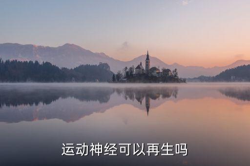 交感神經(jīng)能不能重建，運(yùn)動(dòng)神經(jīng)可以再生嗎