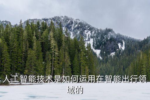 人工智能技術(shù)是如何運(yùn)用在智能出行領(lǐng)域的