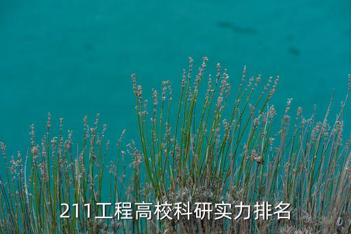 211工程高?？蒲袑嵙ε琶? class=