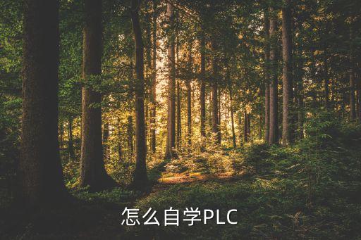 怎么自學(xué)PLC