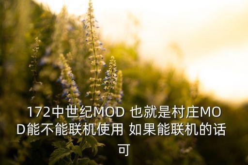 172中世紀MOD 也就是村莊MOD能不能聯(lián)機使用 如果能聯(lián)機的話 可