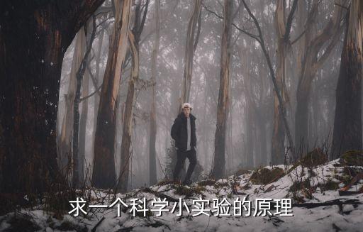 求一個科學(xué)小實驗的原理