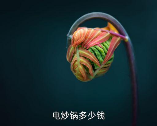 電炒鍋多少錢