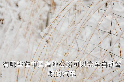 自動駕駛的車有哪些，有什么車是自動擋的