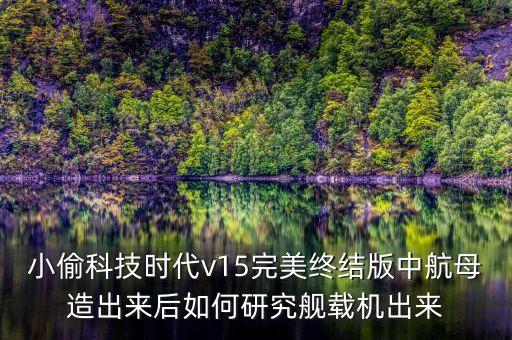 小偷瘋狂科技航母，小偷瘋狂科技10攻略