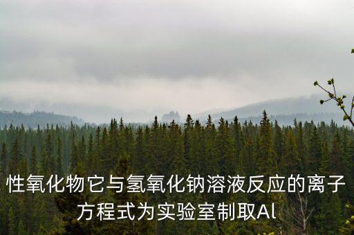 性氧化物它與氫氧化鈉溶液反應的離子方程式為實驗室制取Al