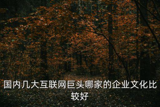 中國四大互聯(lián)網(wǎng)巨頭排名，中國四大網(wǎng)絡(luò)公司