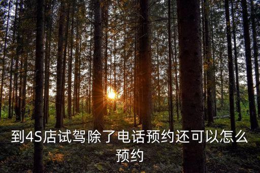 到4S店試駕除了電話預(yù)約還可以怎么預(yù)約