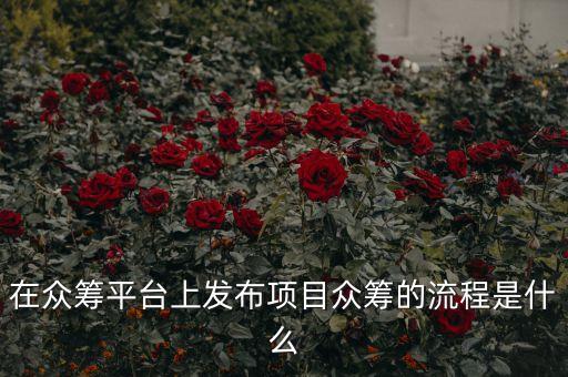 如何在網(wǎng)上眾籌，網(wǎng)上籌款怎么設(shè)置