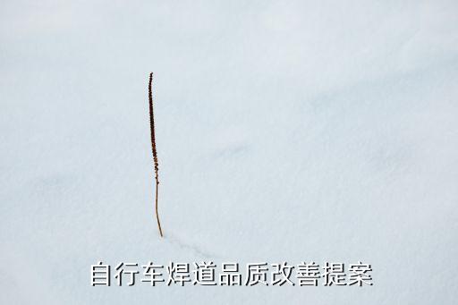 品質(zhì)提案改善案例，自行車焊道品質(zhì)改善提案