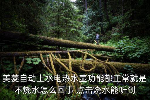 美菱自動(dòng)上水電熱水壺功能都正常就是不燒水怎么回事 點(diǎn)擊燒水能聽(tīng)到