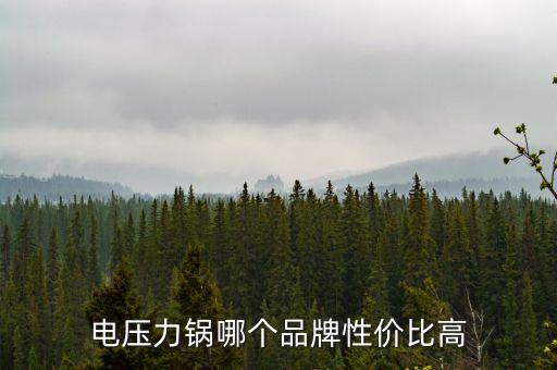 電壓力鍋哪個(gè)品牌性價(jià)比高