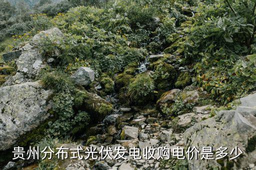 貴州分布式光伏發(fā)電收購電價(jià)是多少