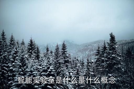 智能實(shí)驗(yàn)室是什么是什么概念