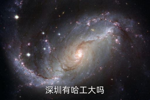 哈爾濱工業(yè)大學深圳校區(qū)，哈爾濱工業(yè)大學深圳校區(qū)