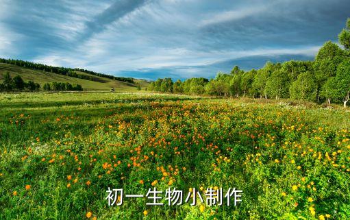 初一生物小制作