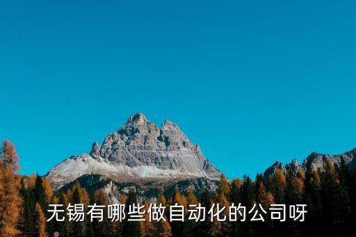 無(wú)錫有哪些做自動(dòng)化的公司呀