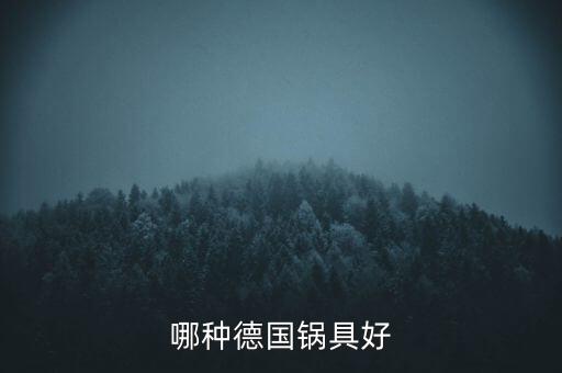 德國(guó)的炒菜鍋哪個(gè)牌子好，聽(tīng)說(shuō)有個(gè)德國(guó)產(chǎn)的牌子的無(wú)油煙炒鍋特別好不知叫什么牌子