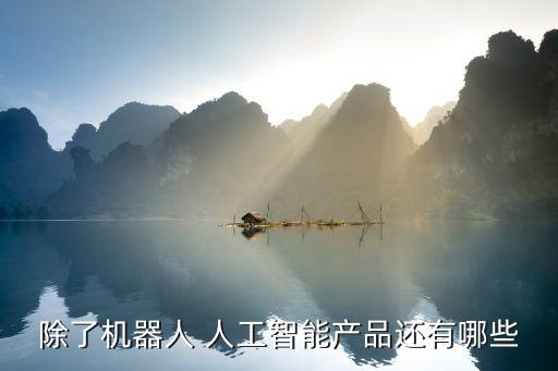 人工智能產(chǎn)品有哪些 仿生眼，有哪些產(chǎn)品是偽人工智能