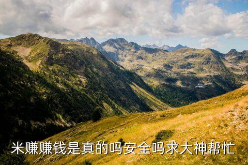 米賺賺錢是真的嗎安全嗎求大神幫忙