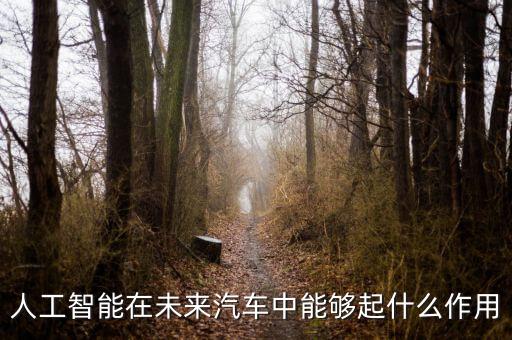 闡述人工智能在交通領(lǐng)域作用，人工智能在未來(lái)汽車(chē)中能夠起什么作用