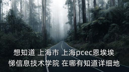 想知道 上海市 上海pcec恩埃埃悌信息技術學院 在哪有知道詳細地