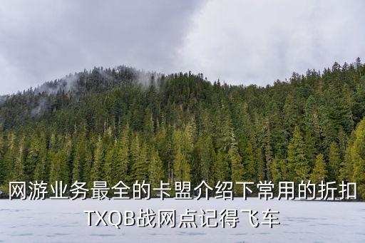 網(wǎng)游業(yè)務(wù)最全的卡盟介紹下常用的折扣TXQB戰(zhàn)網(wǎng)點(diǎn)記得飛車