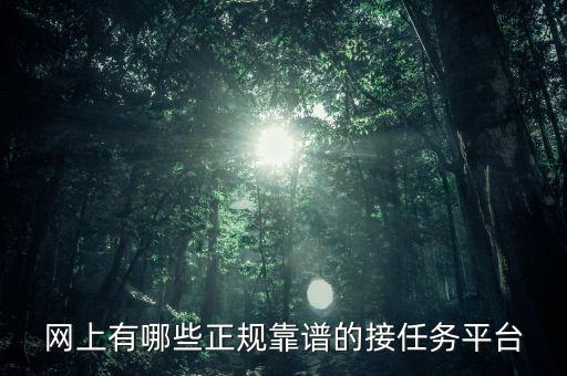 網(wǎng)上有哪些正規(guī)靠譜的接任務(wù)平臺(tái)