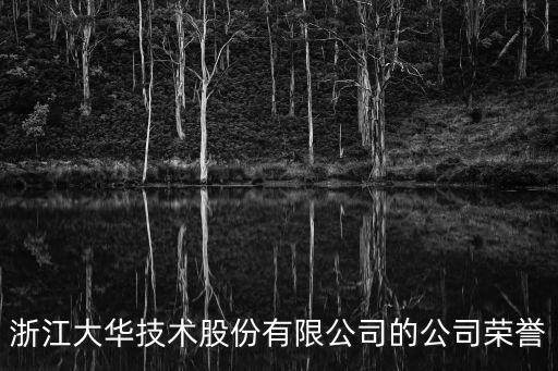 浙江大華技術(shù)股份有限公司的公司榮譽(yù)