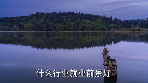 什么行業(yè)就業(yè)前景好
