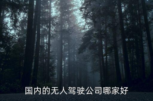 自動(dòng)駕駛哪個(gè)公司做的最好，智能汽車哪個(gè)品牌好現(xiàn)在有搭載L4級(jí)別的自動(dòng)駕駛汽車了嗎