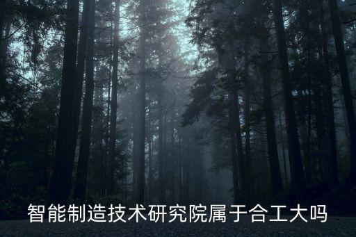 杭州智能制造研究院，智能制造技術(shù)研究院屬于合工大嗎