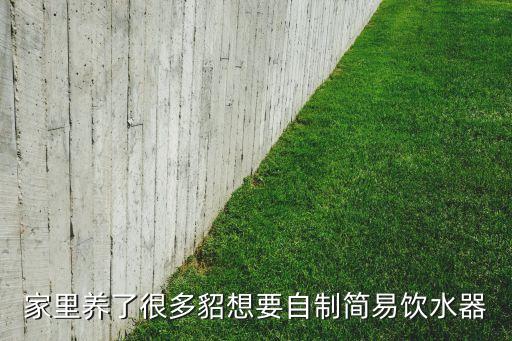簡易飲水機(jī)制作不用膠水，假水怎么做最簡單沒有卸妝水也沒有硼砂水