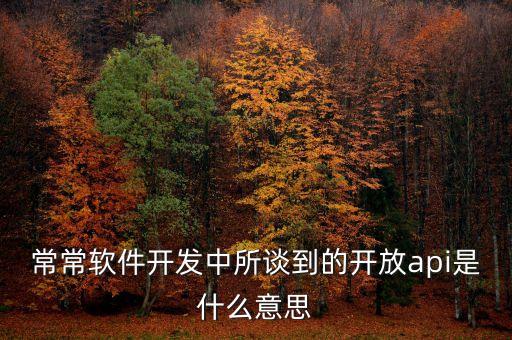 常常軟件開(kāi)發(fā)中所談到的開(kāi)放api是什么意思