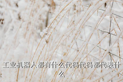 工業(yè)機(jī)器人都有什么代碼代碼都代表什么