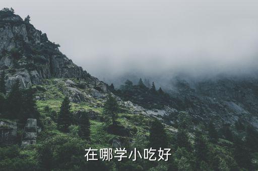 小吃培訓(xùn)去哪里學(xué)最好，特色小吃去哪培訓(xùn)得好